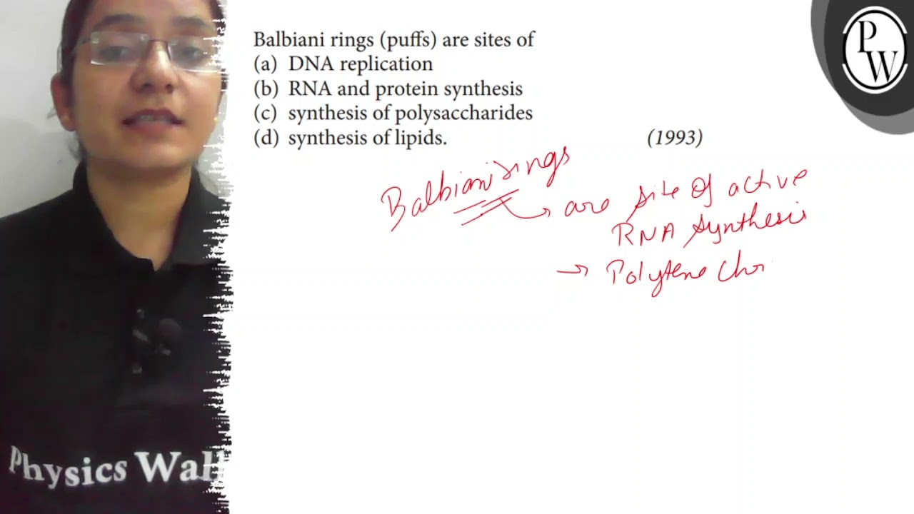 PDF) The Balbiani ring and the polytene chromosomes of Drosophila bicornuta