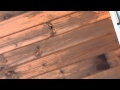 Big ass black ping pong bee