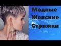 Модные  женские  стрижки