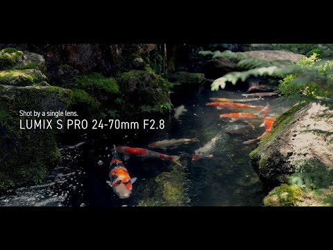 [NEW] LUMIX S | LUMIX S PRO 24-70mm F2.8 (S-E2470) Lens Based on L-Mount System