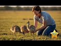 Brite Star Ranch New Arrivals-Baby Ostriches Arrive