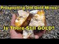 Gold Prospecting & Sampling Old Gold Mines For Forgotten Gold