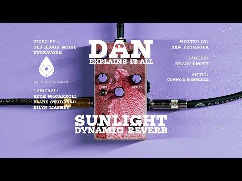 Old Blood Noise Endeavors Sunlight Dynamic Freeze Reverb