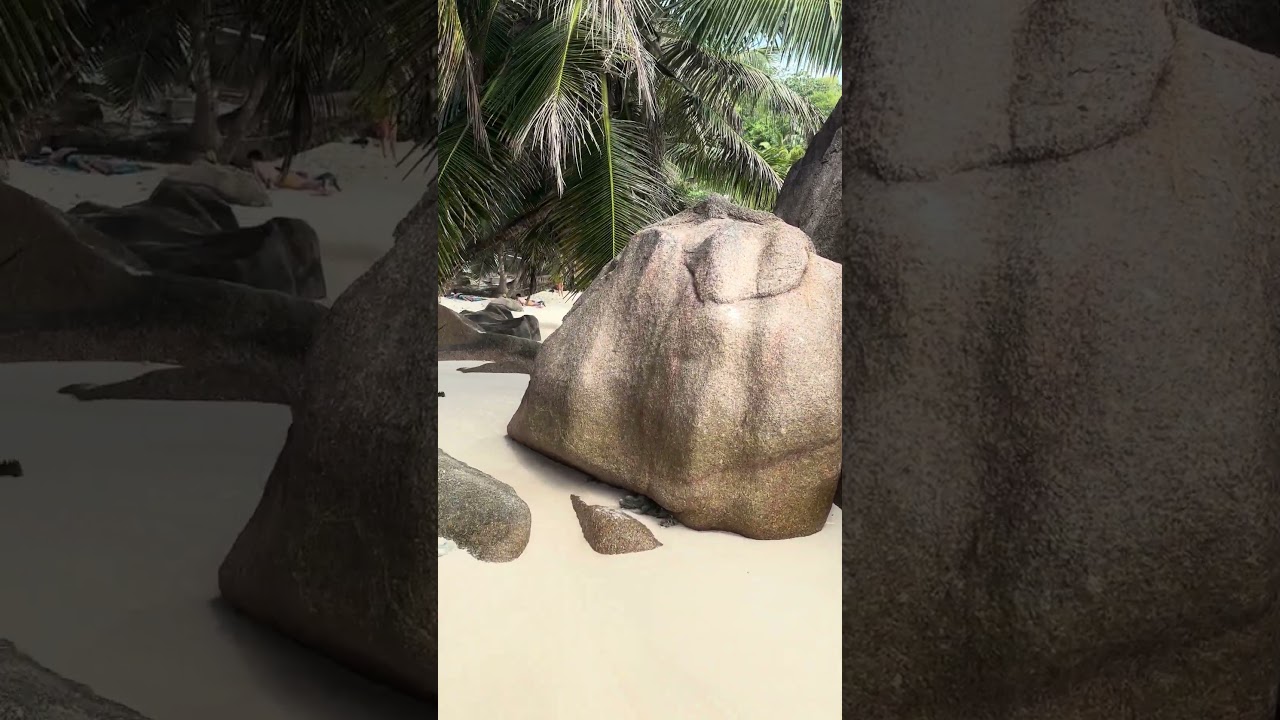 #Seychelles #ladybug #africa #セーシェル #ラディーグ #アフリカ #東アフリカ #マヘ島 #プララン島 #絶景 #綺麗な景色 #綺麗な海 #海外旅行 #resprt