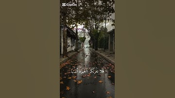 #قرآن #تلاوة_هادئة #تلاوة_خاشعة #ياسر_الدوسري #قران_كريم
