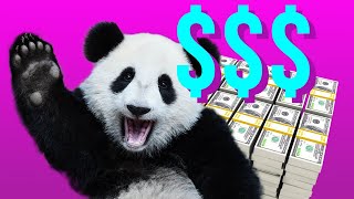 Want to Buy a Panda? Here's What It Takes