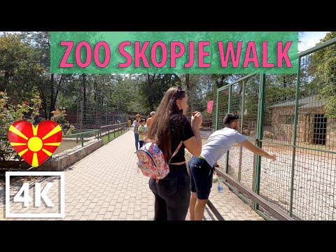 Video: Kopshti Zoologjik në Këln