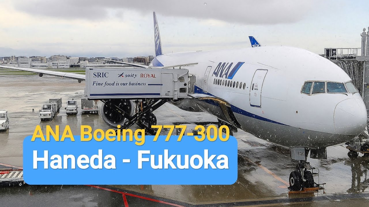 ANA Boeing 777-300 Economy Class | Tokyo Haneda - Fukuoka Flight