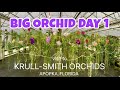 A VISIT TO ONE OF THE BEST ORCHID NURSERIES, KRULL-SMITH ORCHIDS.