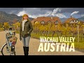 Best of biking through Austria&#39;s Vineyards in Wachau Valley | The 4K Cinematic Travel Highlights