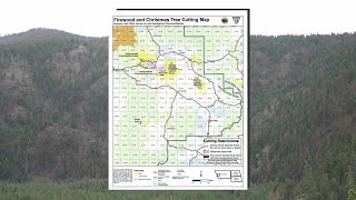 Bureau of Land Management offering 1 Christmas tree permits