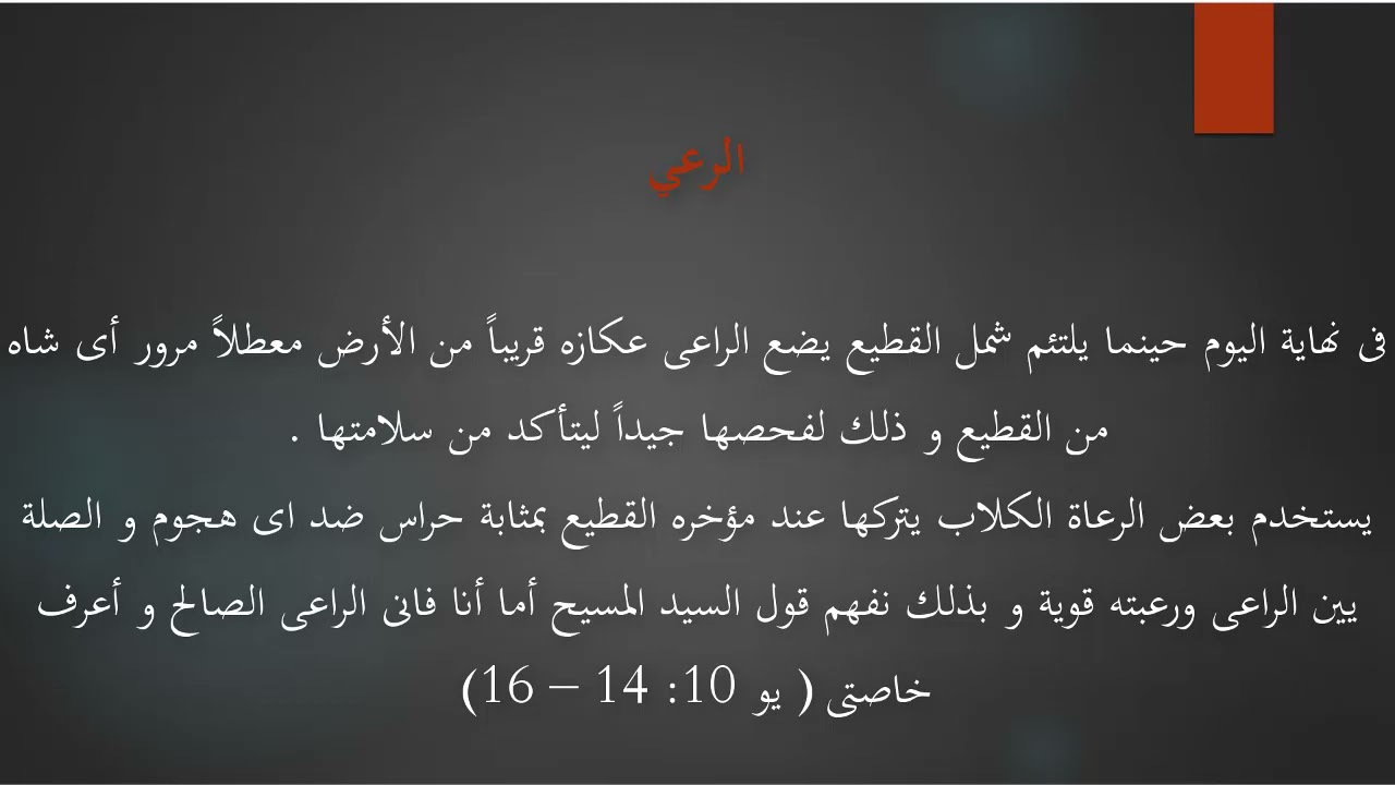 الفرقة الأولى كورس الخلفيات التاريخية والحضارية للعهد الجديد  اليوم الثالث المحاضرة 6