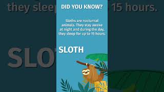 Let’s learn the Sloth Pose! #yogaforkids #kidsyoga #yogaguppy #yogainthejungle