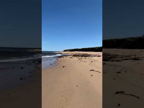 360 degree view around my beach