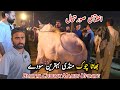 Bhatta Chowk Mandi Update 25 May 2026 | Qurbani Bakra Eid Vlogs 
