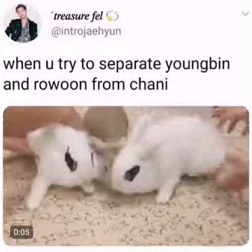 SF9 VINES #3Separating Youngbin and Rowoon from the maknae