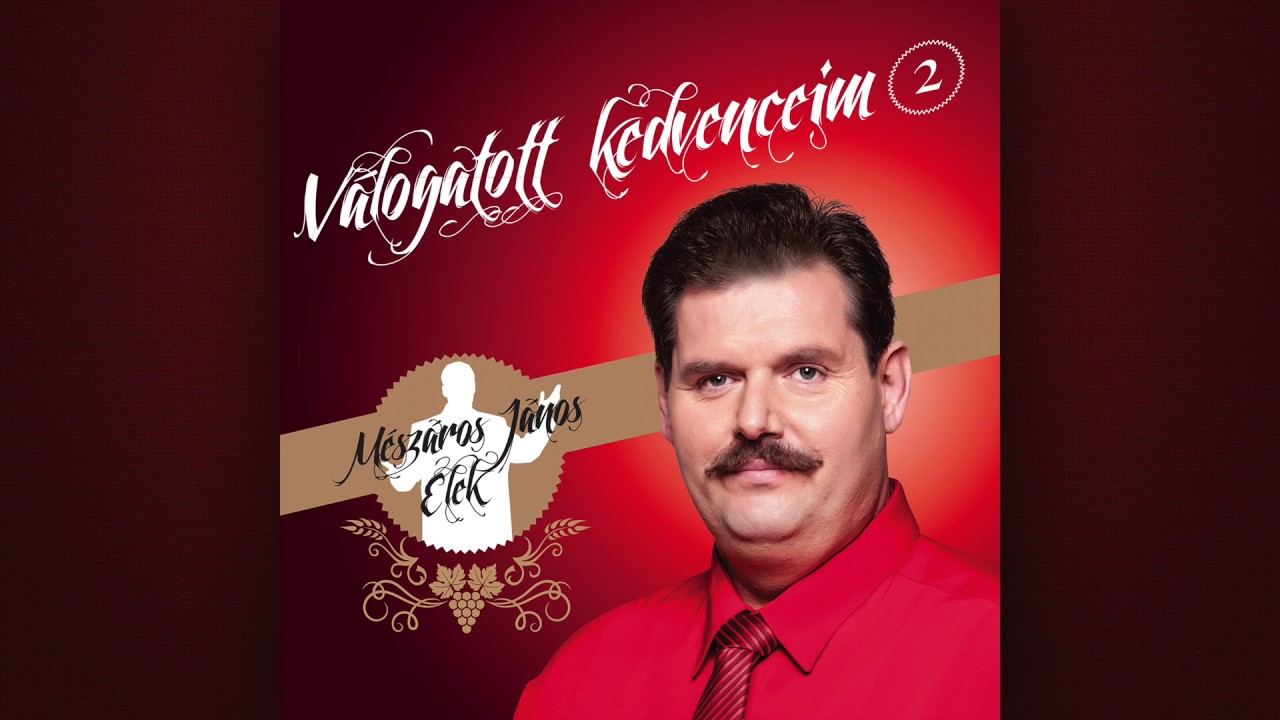 Mészáros János Elek - Kell még egy szó