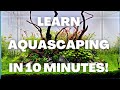 Complete aquascaping beginners guide  learn all the basics