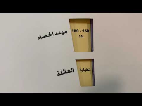 مواعيد زراعة الخضار بالمملكة العربية السعودية وفترة الحصاد قرص إرشادي إهداء من إدارة الإنتاج العضوي
