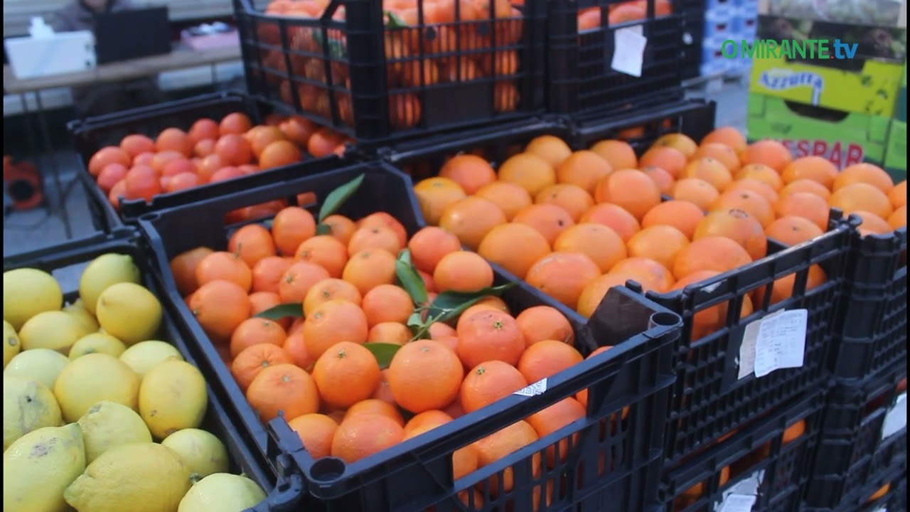 Feira grossista regressou ao Mercado Municipal de Tomar