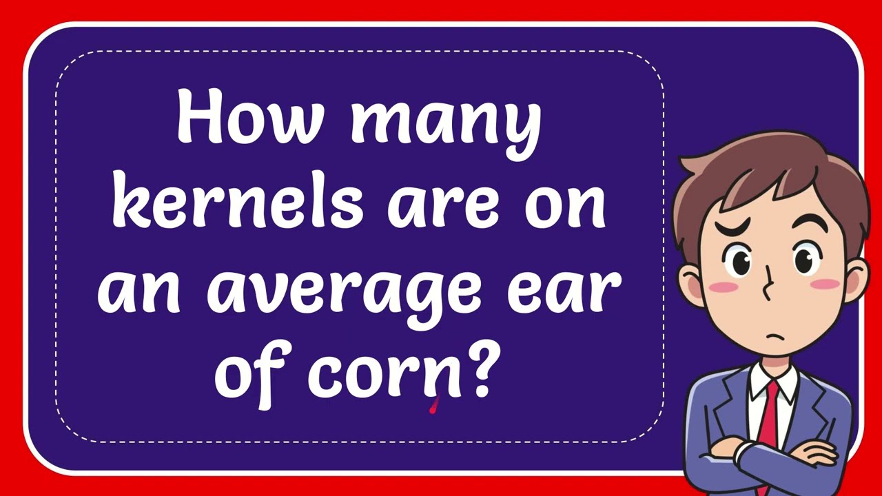 Answer How Many Kernels Are On An Average Ear Of Corn YouTube Answer How Many Kernels Are On An Average Ear Of Corn YouTube