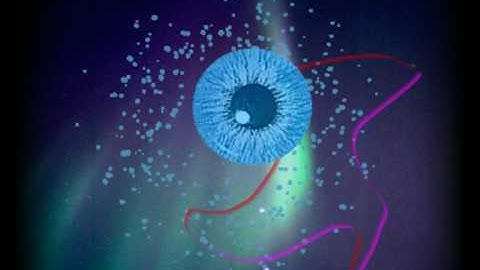 Are You Here? (video excerpt)