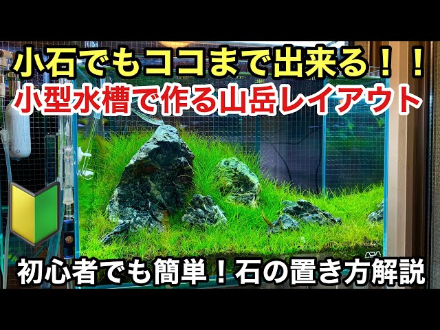 小型水槽で作る山岳レイアウト「石の組み方編」ADAネイチャー