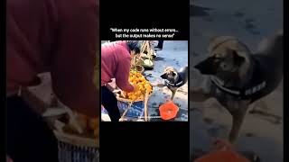 Famous "When my code runs without errors… but the output makes no sense" #shorts Profile