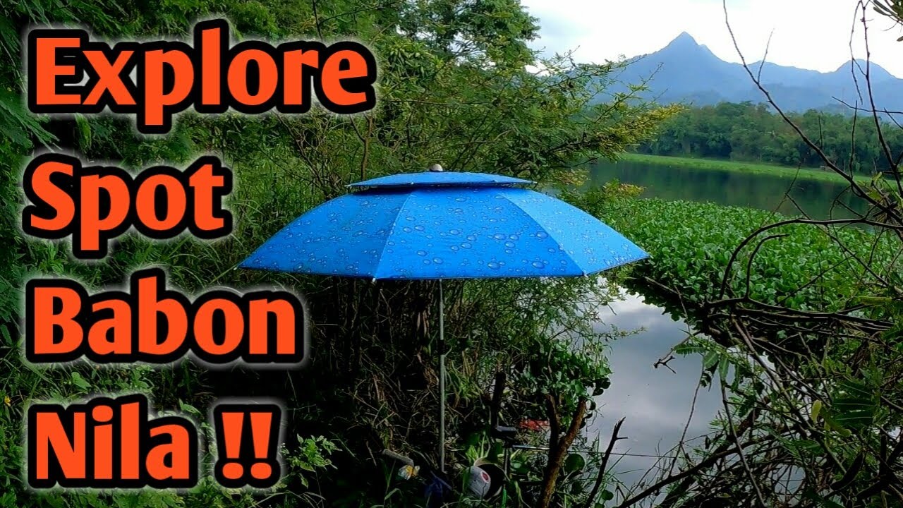 MANCING BABON NILA UMPAN LUMUT !! APAKAH BERUNTUNG KALI INI?? || mancing ikan nila diwaduk ngantang