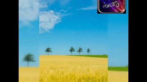 صوت جميل جداً من اواخر سورة لقمان