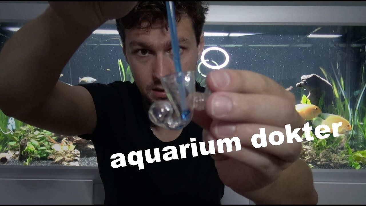 kas partitie beton Co2 meten? Hoe meet je co2 in je aquarium. Dit is de meest makkelijke  manier! #25 - YouTube