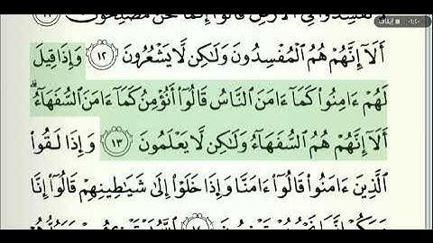 القرآن الكريم صفحة رقم 3 الشيخ وديع اليمني