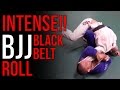 INTENSE! BJJ Black Belts Sparring: Formiga VS Rafa