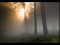 Dark Fog By Kevin MacLeod 