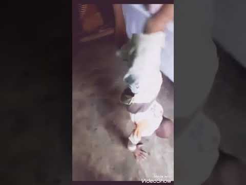 فيديو مضحك ناري قلب حريرة اموووو