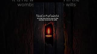 Subhan Allah! His Mercy Has No End#Allah #Islam #Hamd #SubhanAllah