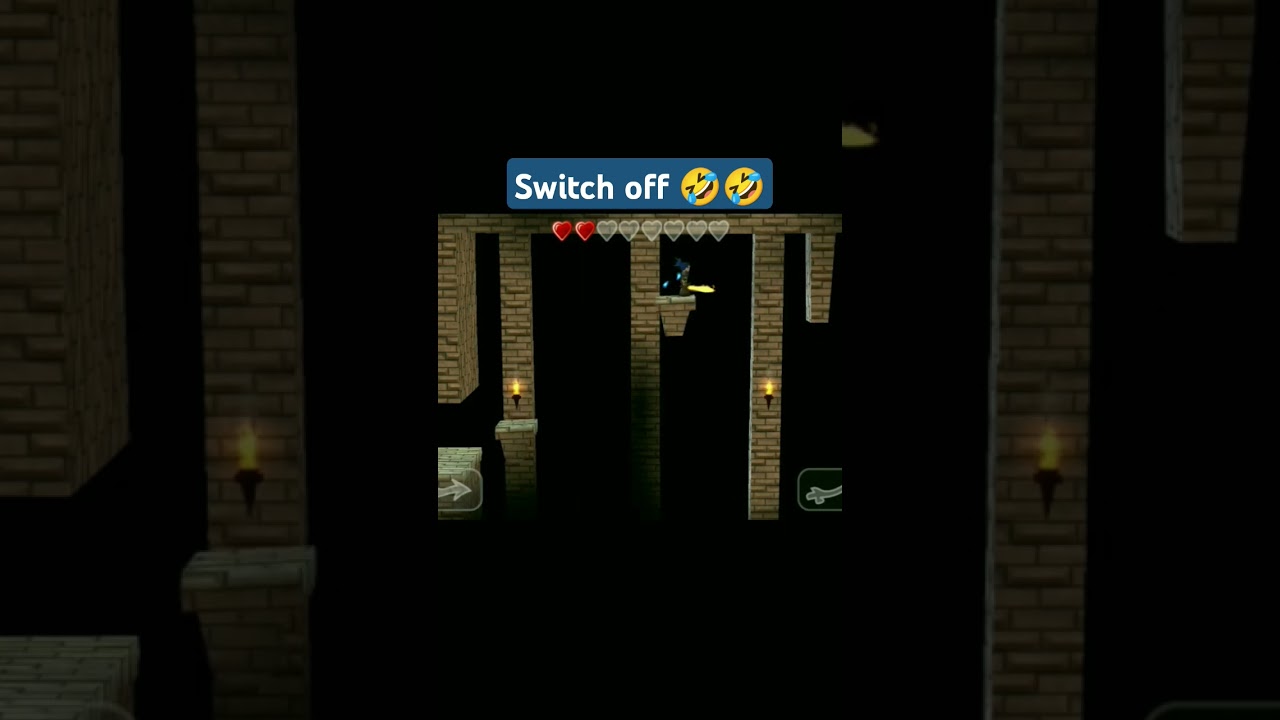 FUNNY MOMENT SWORDIGO! 