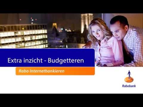 Extra inzicht: Budgetteren - Particulieren