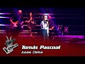 Tomás Pascoal -"Asas Delta" | Prova Cega | The Voice Kids
