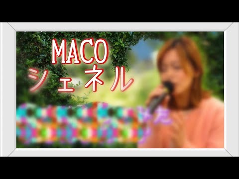 MACO&シェネル カラオケ 歌ってみた まとめ メドレー  ７曲