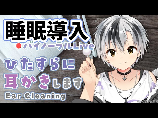 【Binaural/ダミーヘッドマイク】本気で眠りたい人のためのじっくり奥まで耳かき 2024.10.30【にじさんじ/鈴木勝】のサムネイル
