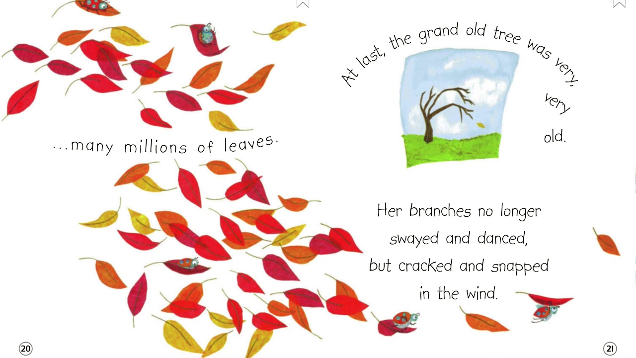 確認用◆洋書☆オススメ 英語絵本『A Grand Old Tree』◆ A Grand Old Tree by Mary Newell DePalma (softcover) | eBay