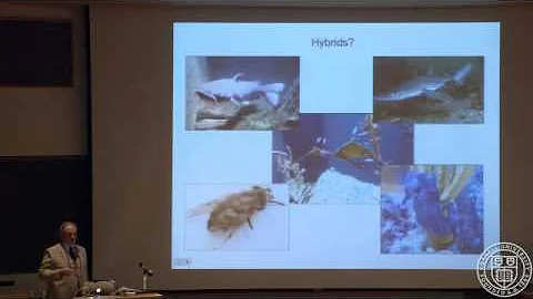 Crossing Forbidden Boundaries in the Animal Kingdom