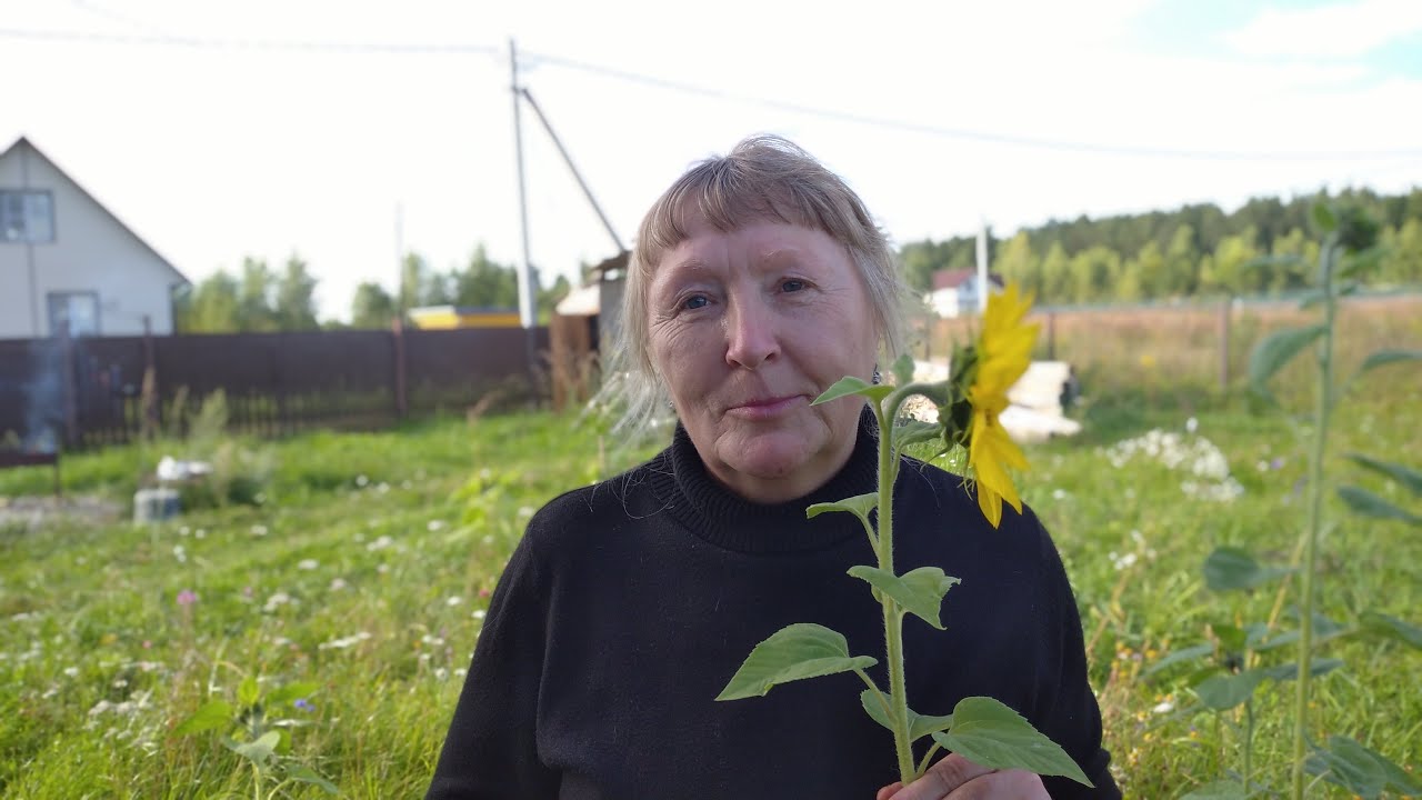 Знакомства Иваново Отзывы