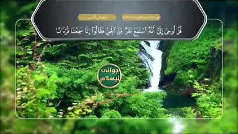 سورة الجن للقارئ رمضان شكور *رحمه الله*