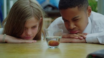 Soothsayers - Dis & Dat (Official Video)