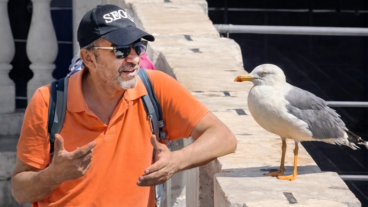 When Animals Catch Humans by Surprise in the Funniest Ways 🤪