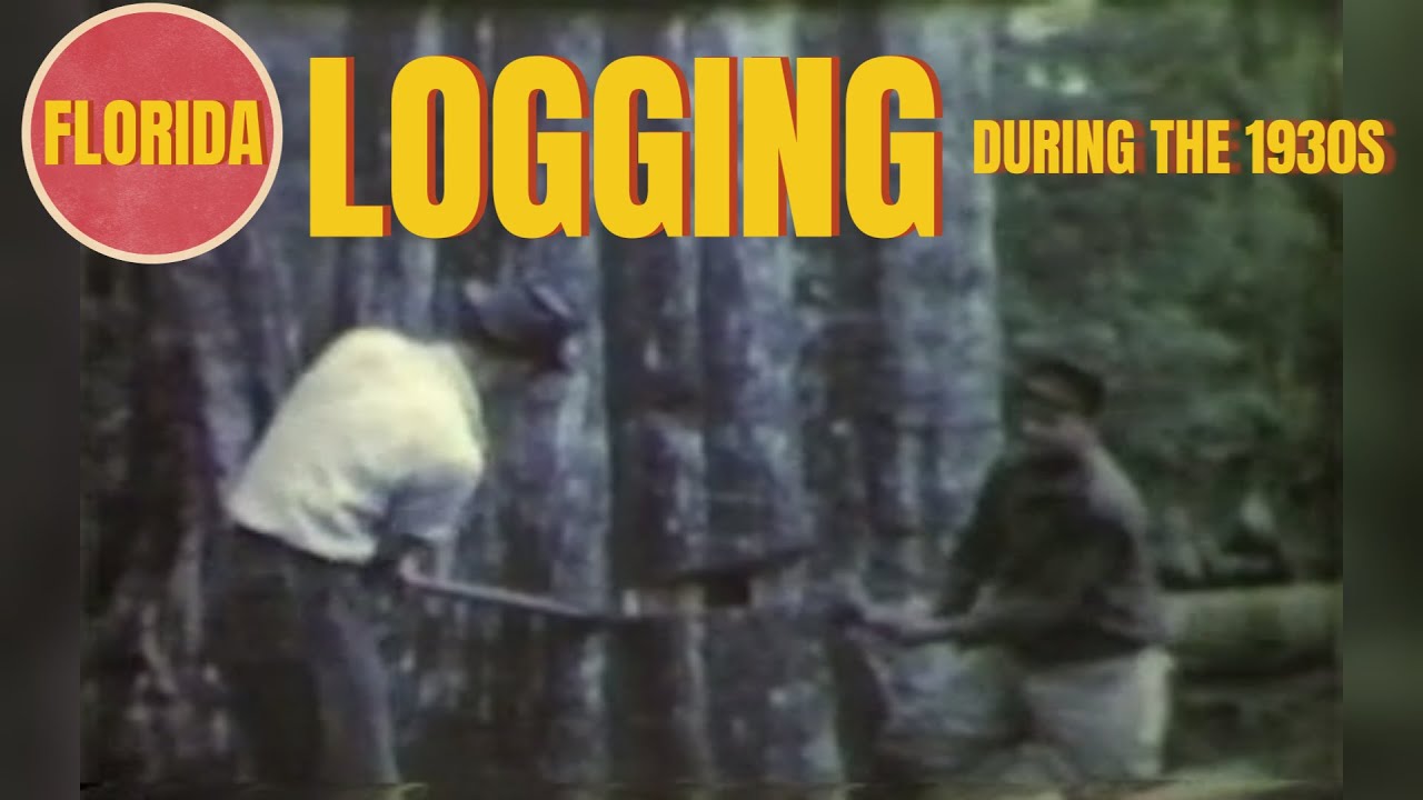 🪓 Лесозаготовки во Флориде в 1930-х годах 🌲 Редкие кинокадры
