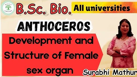 Bryophytes। Anthoceros। Development and Structure of Female Sex Organ। B.Sc.bio.। by Surabhi ma