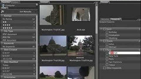 Adobe Bridge - 03.Organize